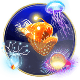 Luminous Life